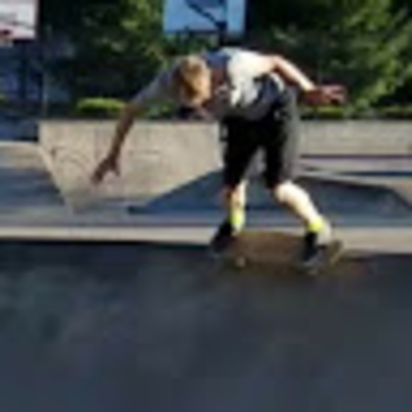 Meet your Posher, Fox - Picture 1 of 1